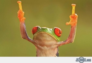 Frog-Middle-Fingers